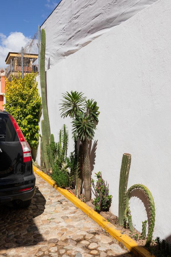 Апартаменты Siento Oaxaca Экстерьер фото